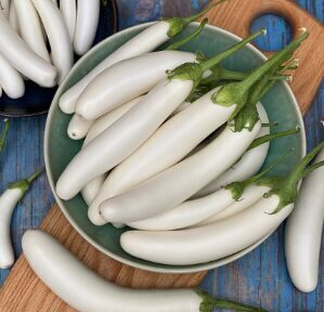 Baklažāns 'White Sword'